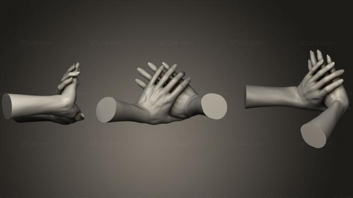 Anatomy of skeletons and skulls (Female Hands 4, ANTM_0475) 3D models for cnc